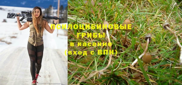 скорость Аркадак