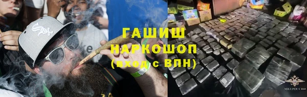 сатива Армянск
